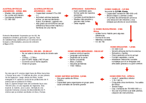 CRONOLOGIA-HOMINIDS.pdf