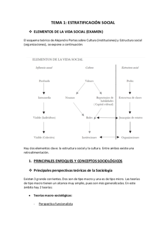 Tema-1-Estructura.pdf
