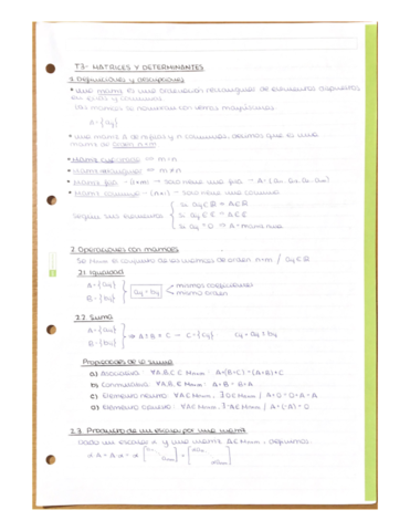 T3-Matrices-y-determinantes.pdf