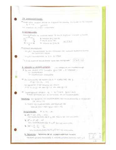 T7-Endomorfismos.pdf