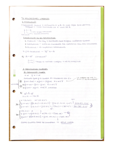 T6-Aplicaciones-Lineales.pdf