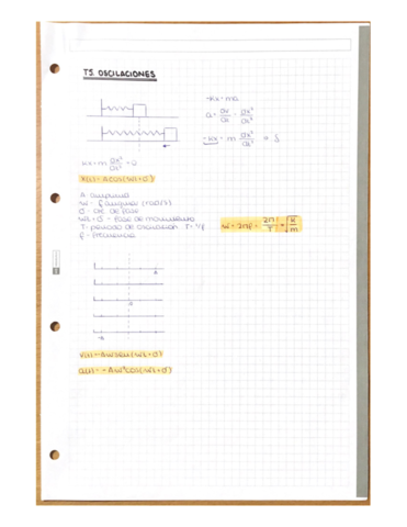 Fisica-T5-y-T6.pdf