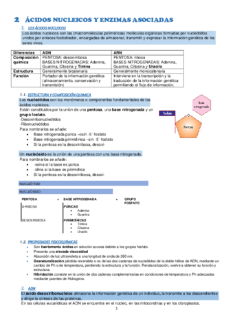 tema2.pdf