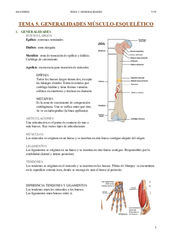 Tema-5-Generalidades.pdf
