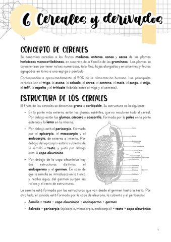 Tema-6.pdf