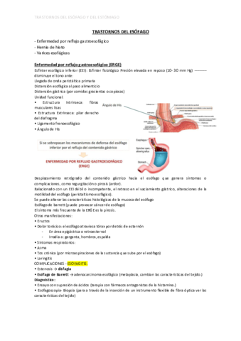 TRASTORNOS-DEL-ESOFAGO-y-ESTOMAGO.pdf
