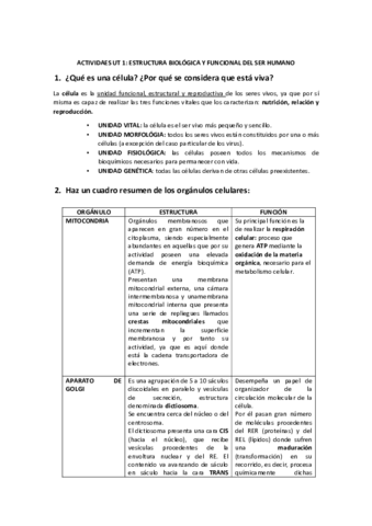 EJERCICIOS-CORREGIDOS-TEMA-1-Y-2.pdf