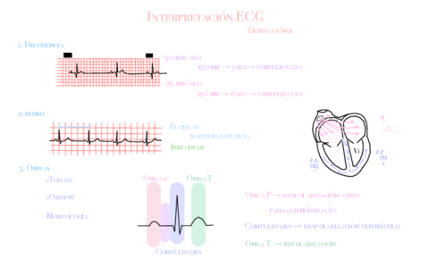 interpretacion-ecg.pdf