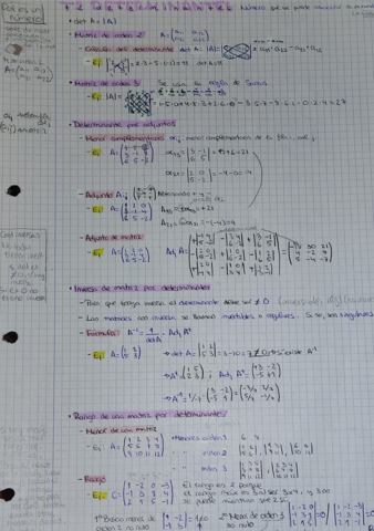 determinantes.pdf
