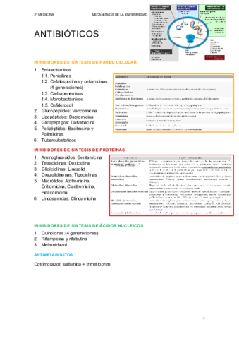 Antibioticos-MecEnf.pdf