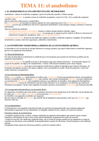 Tema-11-El-anabolismo.pdf