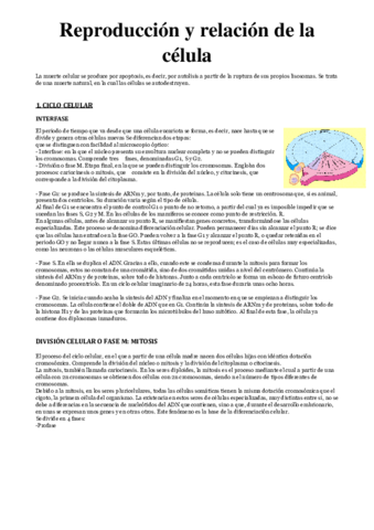 CICLO-CELULAR.pdf