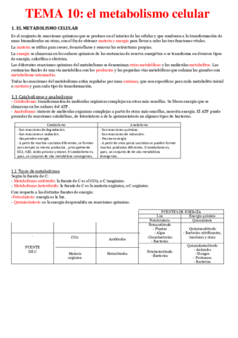 Tema-10-El-metabolismo-celular.pdf