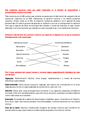 PREGUNTAS-FISIO-21-22.pdf
