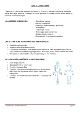 Apuntes anatomía.pdf