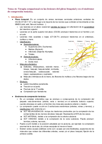 Tema-16.pdf