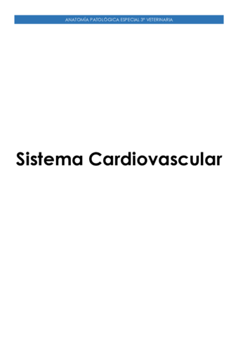 Sistema-Cardiovascular-.pdf