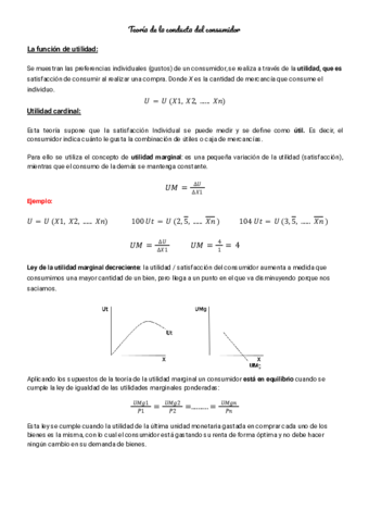 Tema-3-teoria-de-la-conducta-del-consumidor-.pdf