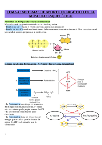 Tema-4-Aporte-energetico.pdf