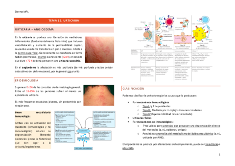 Tema-15.pdf