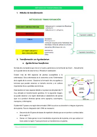 TEMA-9-CIV.pdf