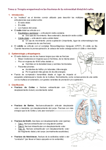 Tema-9.pdf