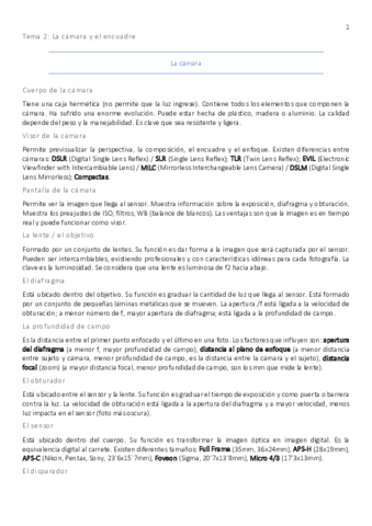 Tema-2.pdf