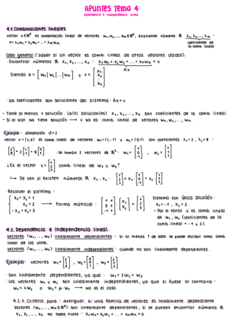 Tema-4-Apuntes-Algebra.pdf