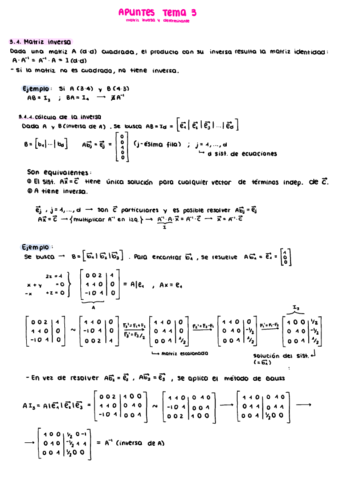 Tema-3-Apuntes-Algebra.pdf