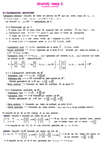 Tema-5-Apuntes-Algebra.pdf