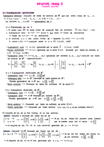 Tema-5-Apuntes-Algebra.pdf