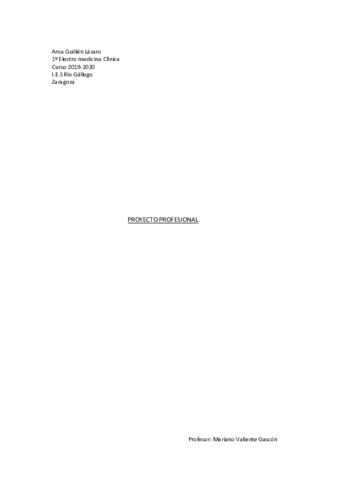 PORTADA-PROYECTO-PROFESIONAL.pdf