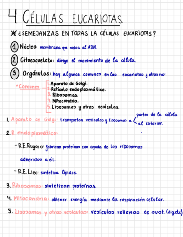 Las-Celulas-Eucariotas-.pdf