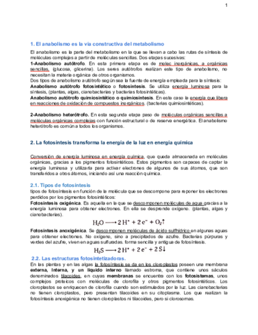 Bio-apuntes-t11-anabolismo.pdf