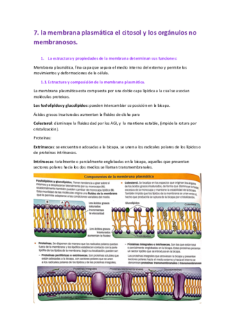 Bio-apuntes-t7-membrana-plasmatica-citosol-y-organulos-no-membranosos.pdf