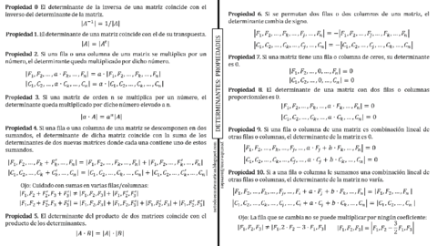 PROPIEDADES-DETERMINANTES.pdf