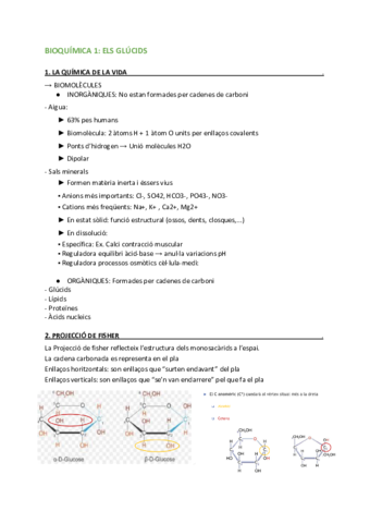Glucids-2-1.pdf