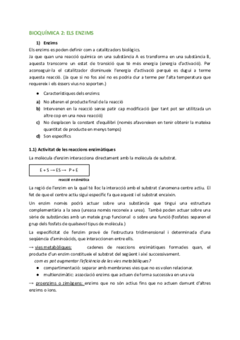 Els-enzims-1-1.pdf