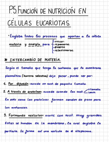 Funcion-De-Nutricion-En-Celulas-Eucariotas-.pdf