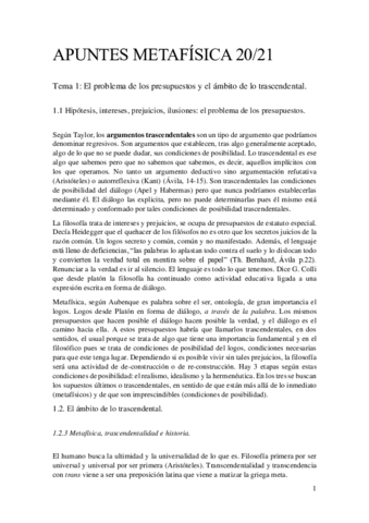 Metafisica-Apuntes.pdf