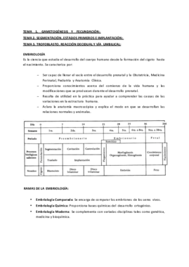 imprimir EMBRIOLOGIA BUENOS APUNTES.pdf