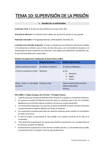 Sistemas-Penitenciarios-Tema-10.pdf