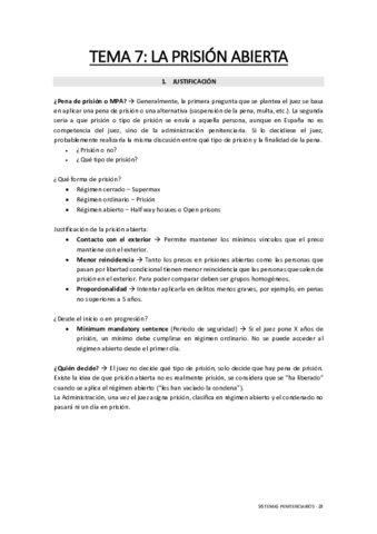 Sistemas-Penitenciarios-Tema-7.pdf