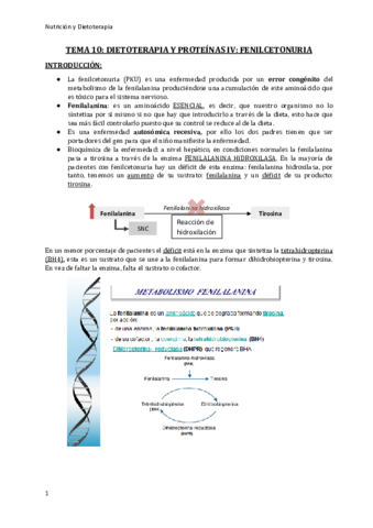 tema-10-enilcetonuriarev.pdf