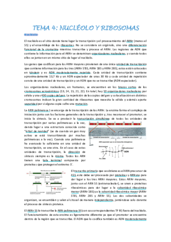 biologia-celular-tema-4.pdf