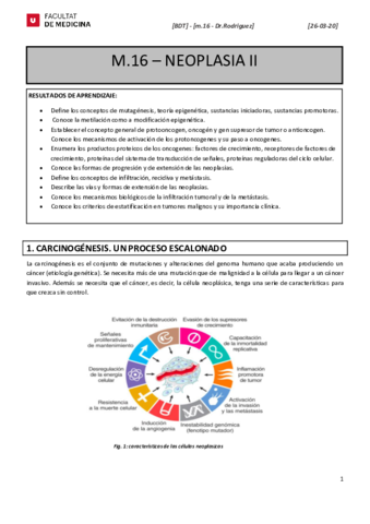 M16-Neoplasia-II.pdf