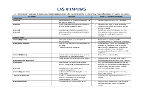 ESQUEMA-VITAMINAS-arrastrado.pdf
