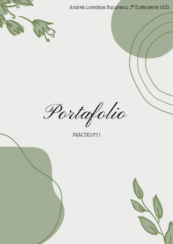 PORTAFOLIOPRACTICUMI.pdf