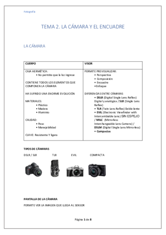 TEMA-2.pdf