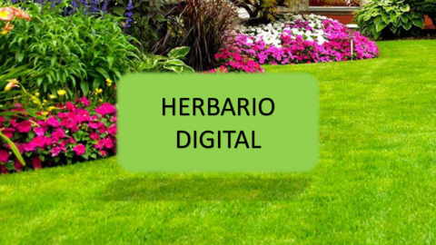 Herbario-Digital-Fernandez-Nunez-Jorge-y-Santamaria-Ortega-Jose-Francisco.pdf